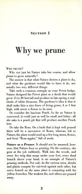 page 04 thumbnail