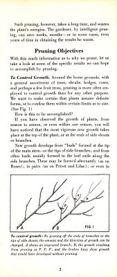page 05 thumbnail