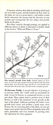page 07 thumbnail