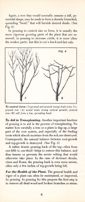 page 08 thumbnail