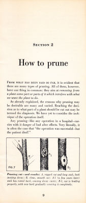 page 11 thumbnail