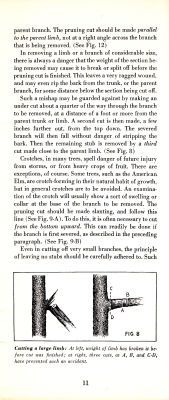 page 13 thumbnail