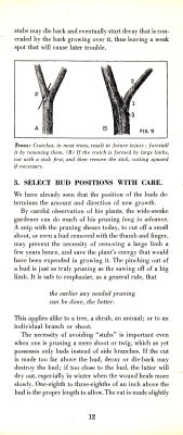 page 14 thumbnail