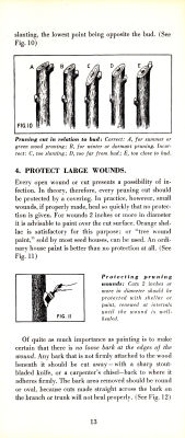 page 15 thumbnail