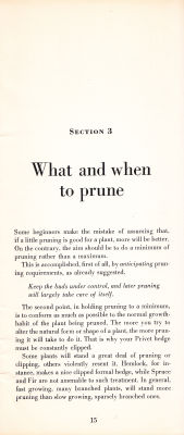 page 17 thumbnail