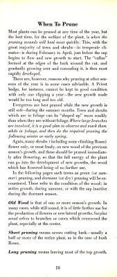 page 18 thumbnail