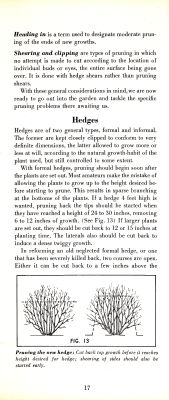 page 19 thumbnail