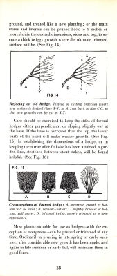 page 20 thumbnail