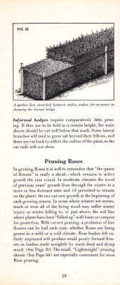 page 21 thumbnail