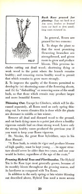 page 22 thumbnail