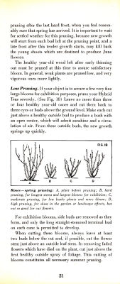 page 23 thumbnail