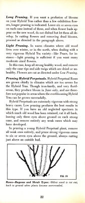page 24 thumbnail