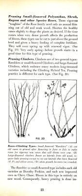 page 25 thumbnail