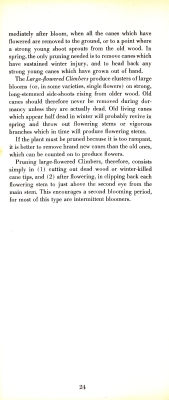 page 26 thumbnail