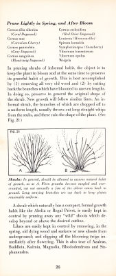 page 28 thumbnail