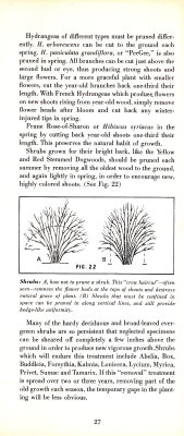 page 29 thumbnail