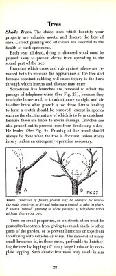 page 30 thumbnail