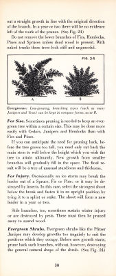 page 32 thumbnail