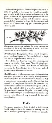 page 33 thumbnail