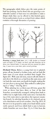 page 34 thumbnail