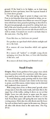 page 35 thumbnail