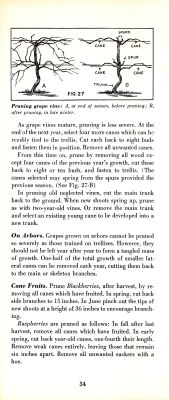 page 36 thumbnail