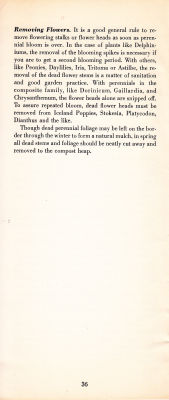 page 38 thumbnail