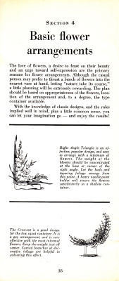 page 40 thumbnail