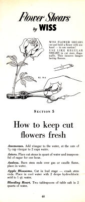 page 42 thumbnail