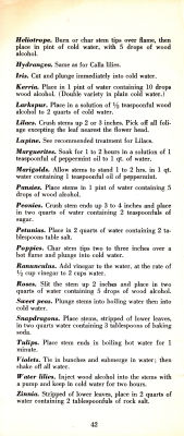 page 44 thumbnail