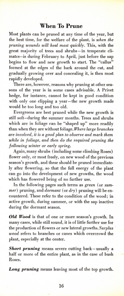 Pruning Guide for Better Shrubs, Trees, Fruits and Flowers (1963): Page 18