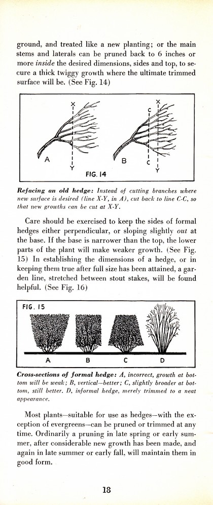 Pruning Guide for Better Shrubs, Trees, Fruits and Flowers (1963): Page 20