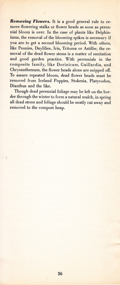 Pruning Guide for Better Shrubs, Trees, Fruits and Flowers (1963): Page 38