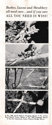 page 02 thumbnail