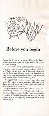 page 05 thumbnail