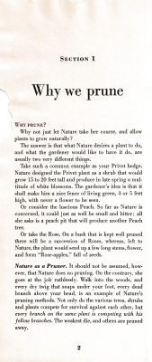 page 06 thumbnail