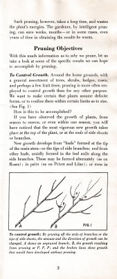 page 07 thumbnail