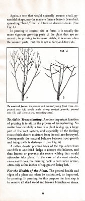 page 10 thumbnail