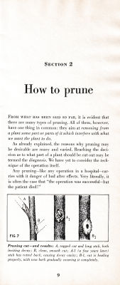 page 13 thumbnail