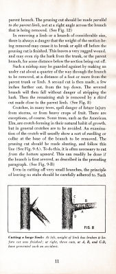 page 15 thumbnail