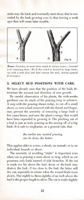 page 16 thumbnail