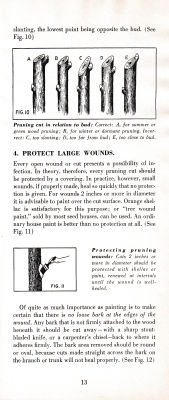 page 17 thumbnail