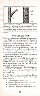 page 18 thumbnail