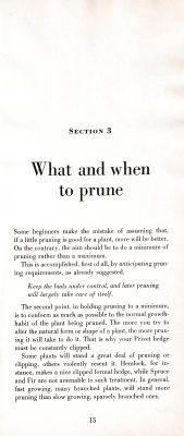 page 19 thumbnail