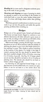 page 21 thumbnail