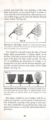 page 22 thumbnail