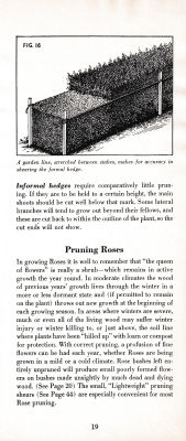 page 23 thumbnail