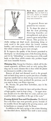 page 24 thumbnail
