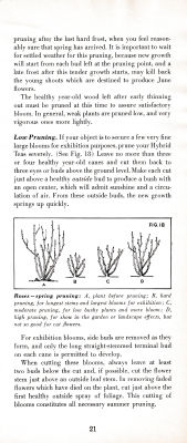 page 25 thumbnail