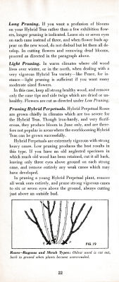 page 26 thumbnail